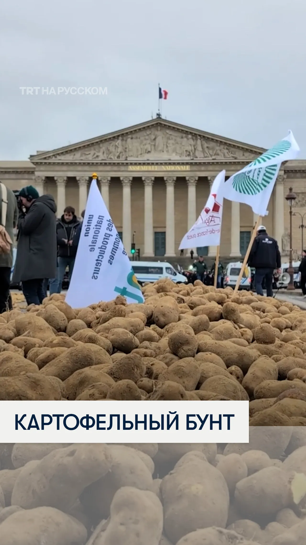 Французские фермеры в знак протеста высыпали у парламента около 30 тонн картофеля