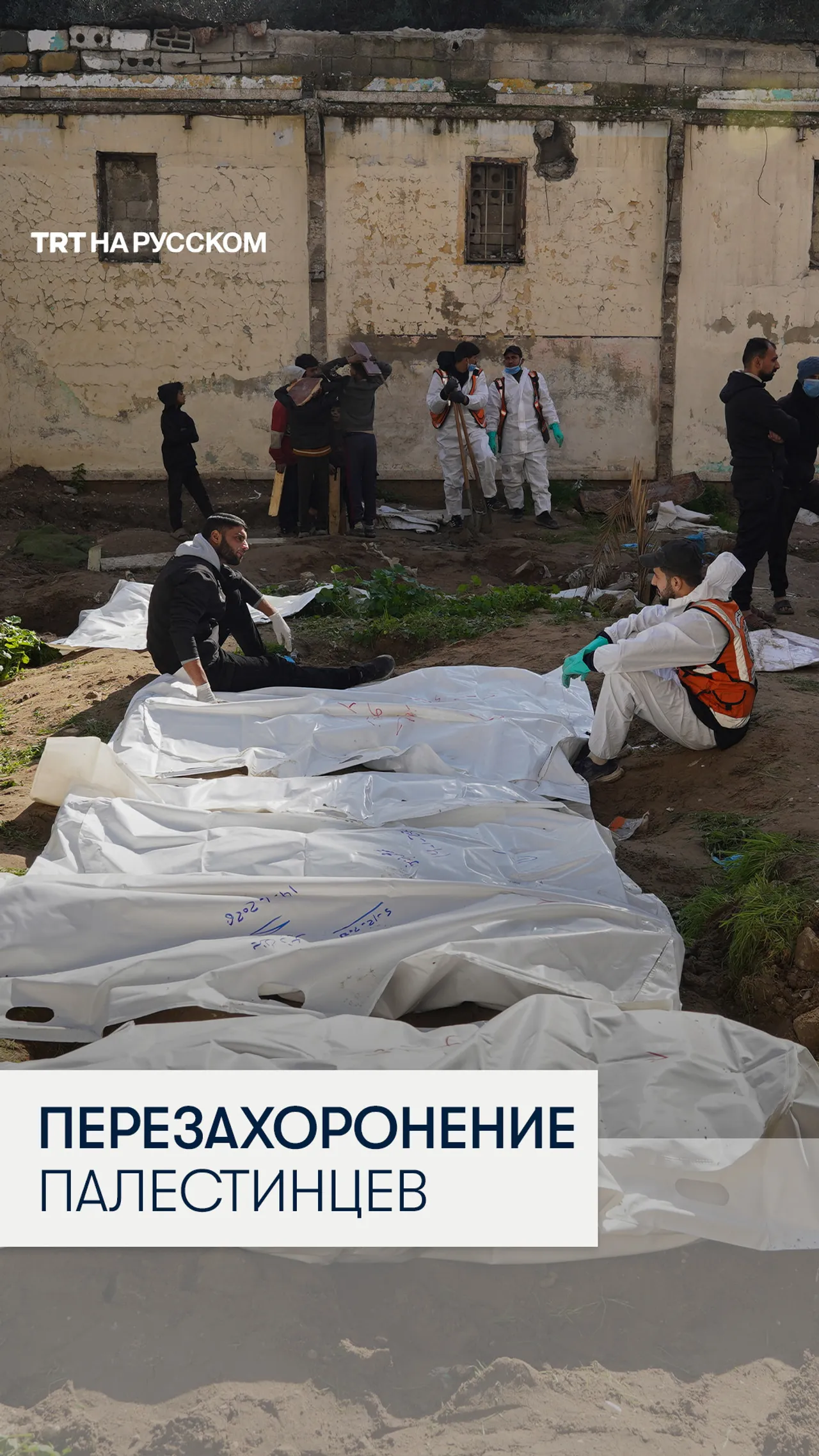 В секторе Газа перезахоронены тела 50 палестинцев