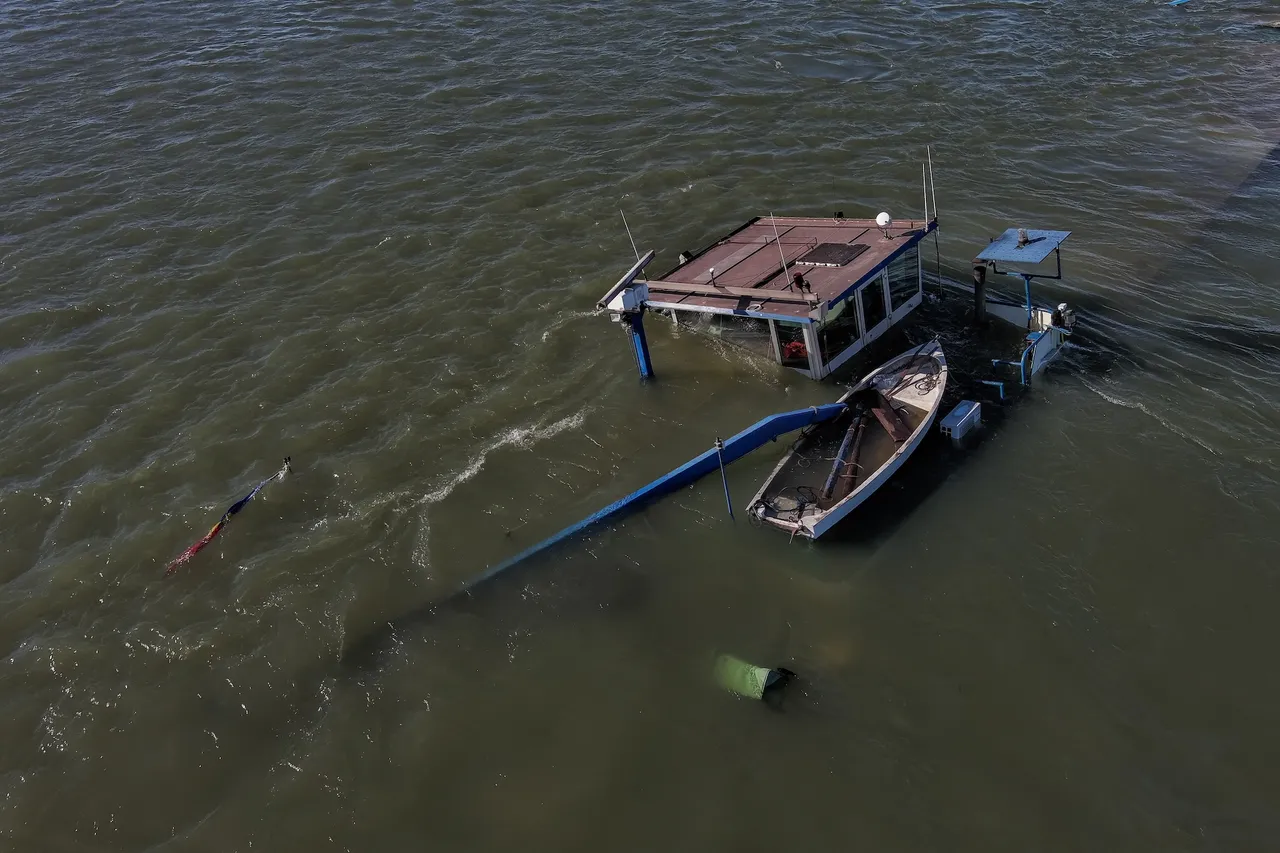 Bullgari, fundoset një maunë e ngarkuar me plehra kimike në lumin Danub