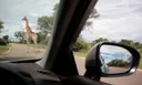 Hifadhi ya Taifa ya Kruger yaadhimisha miaka 100 tangu kuanzishwa
