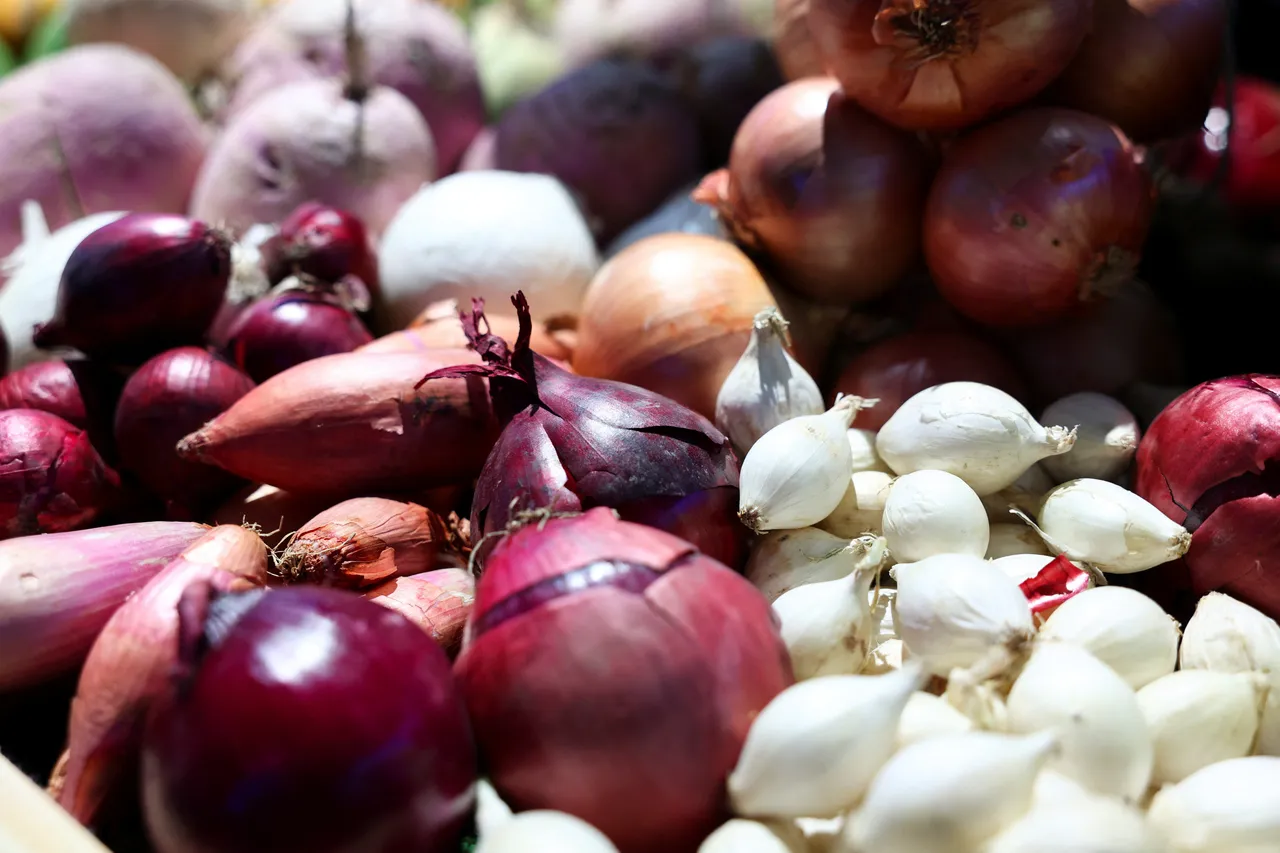 Malaysia perkukuh keterjaminan makanan, teroka pasaran baharu dengan Turkmenistan