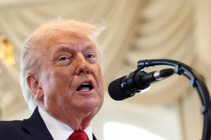 'We're talking to NATO' on Greenland, says Trump