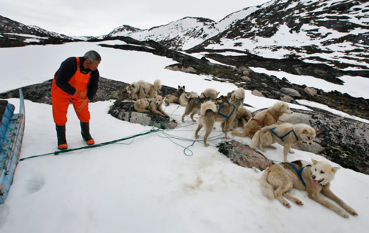Greenland cancels US envoy visit to annual dog sledge race
