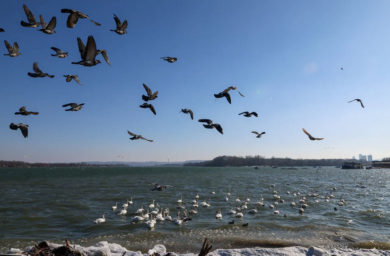 水資源の「破綻」で数十億人が危険に：国連