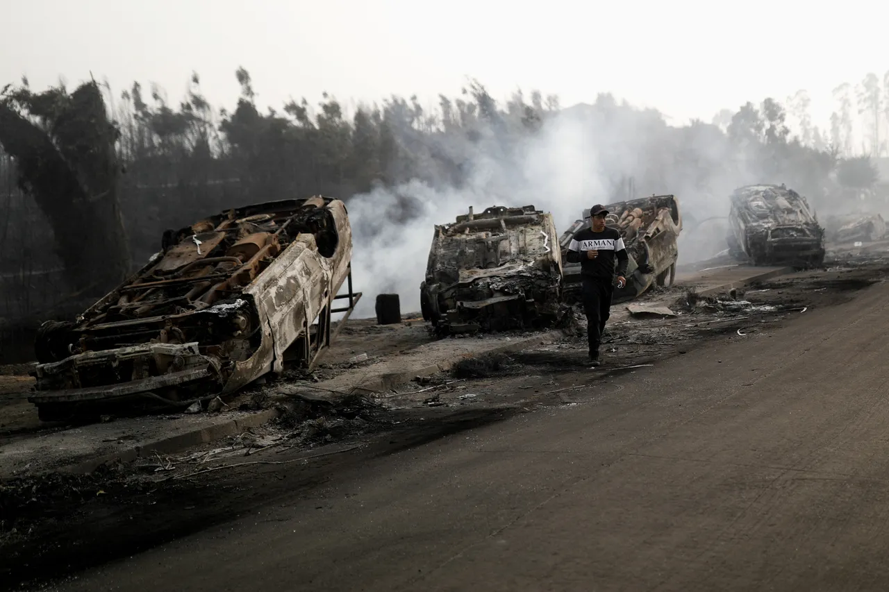Chile declara estado de catástrofe por incendios forestales que dejan muertos y miles de desplazados
