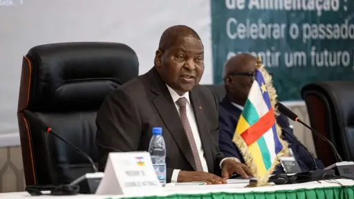 CAR's Constitutional Court rules President Touadera won election with 78% of vote