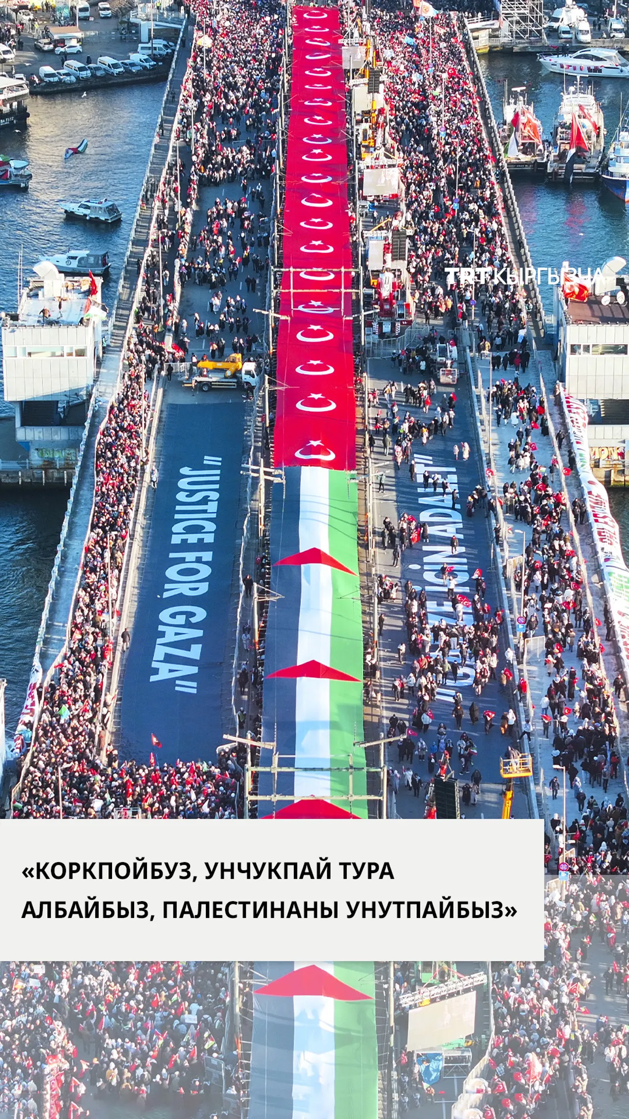 Стамбулдагы Галата көпүрөсүндө Палестинаны колдоо үчүн ири нааразычылык акциясы