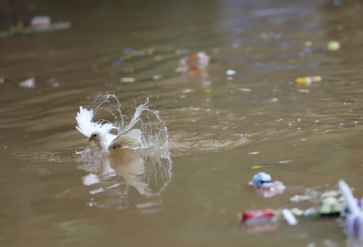 Nine killed and 200 hospitalised due to contaminated water in India's Indore city