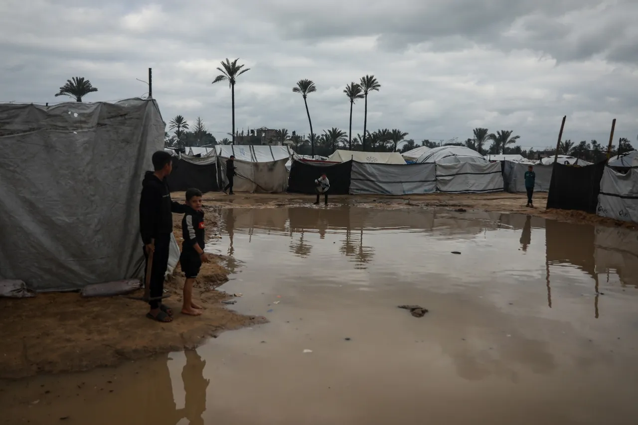 تركيا و7 دول تعرب عن قلقها إزاء تدهور الوضع الإنساني في غزة وتطالب برفع القيود عن المساعدات