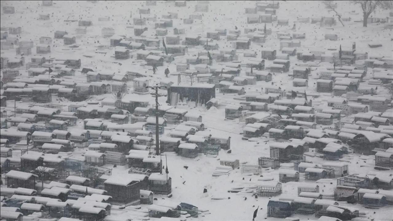 بارش شدید برف و باران در افغانستان ۶۱ کشته و بیش از ۱۱۰ زخمی بر جای گذاشت