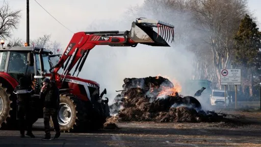 France: colère paysanne en Ariège après un abattage lié à la dermatose nodulaire