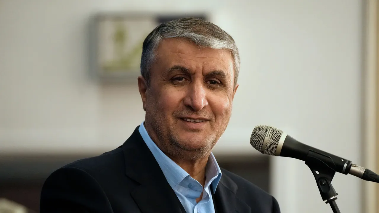 رئیس سازمان انرژی اتمی ایران: قطعات خریداری شده از اروپا به دست سیا و موساد خرابکاری میکرونی شده بود