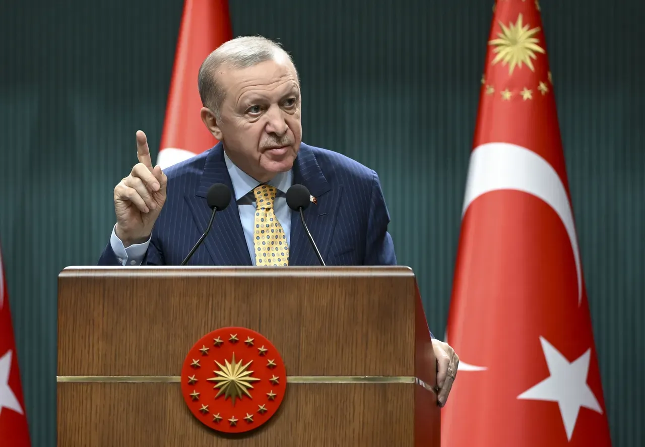 Erdogan: Mipango yote ya kutafuta amani ya Gaza ni ya umuhimu