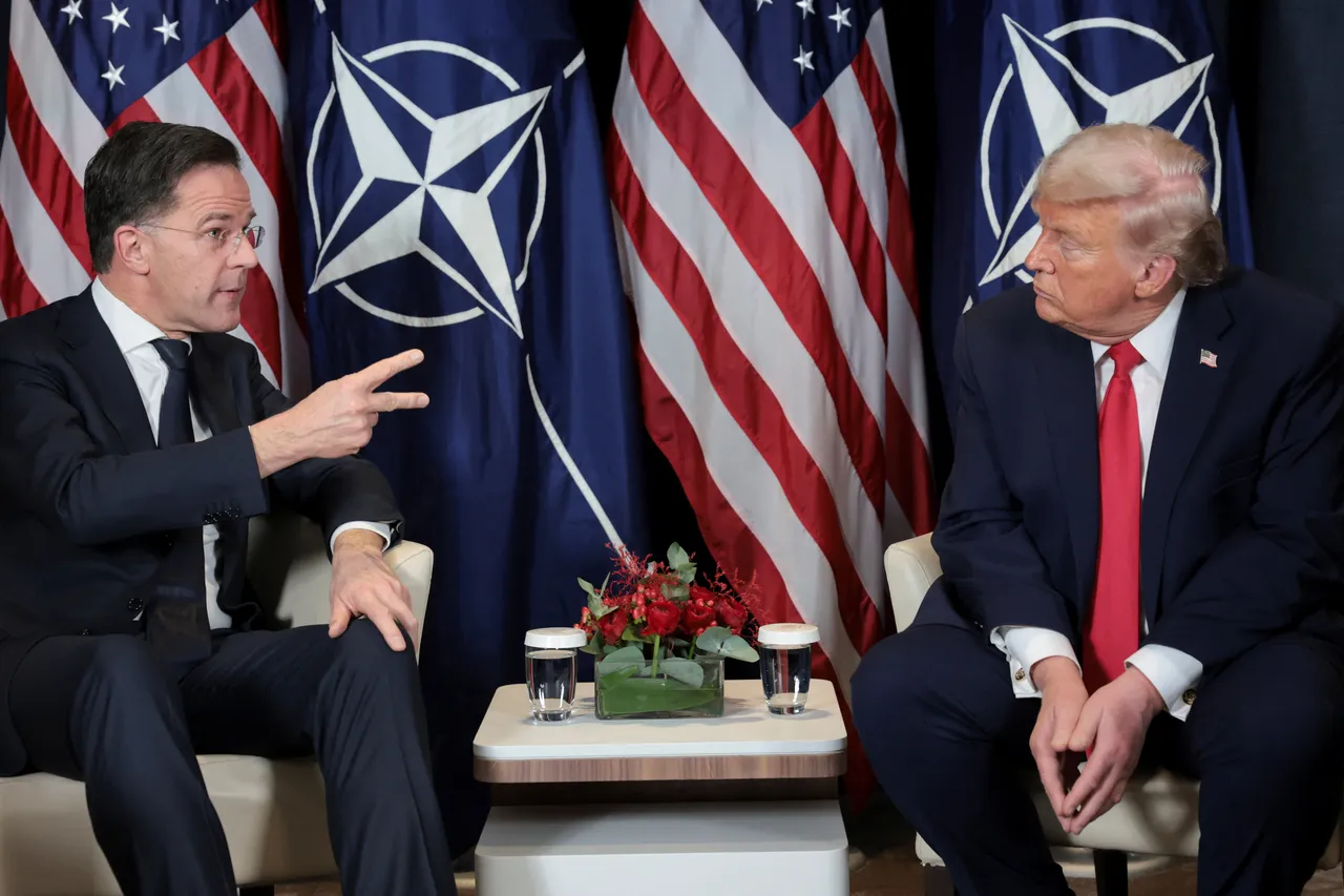 NATO-ja: Rutte nuk propozoi asnjë kompromis për sovranitetin e Grenlandës gjatë takimit me Trumpin