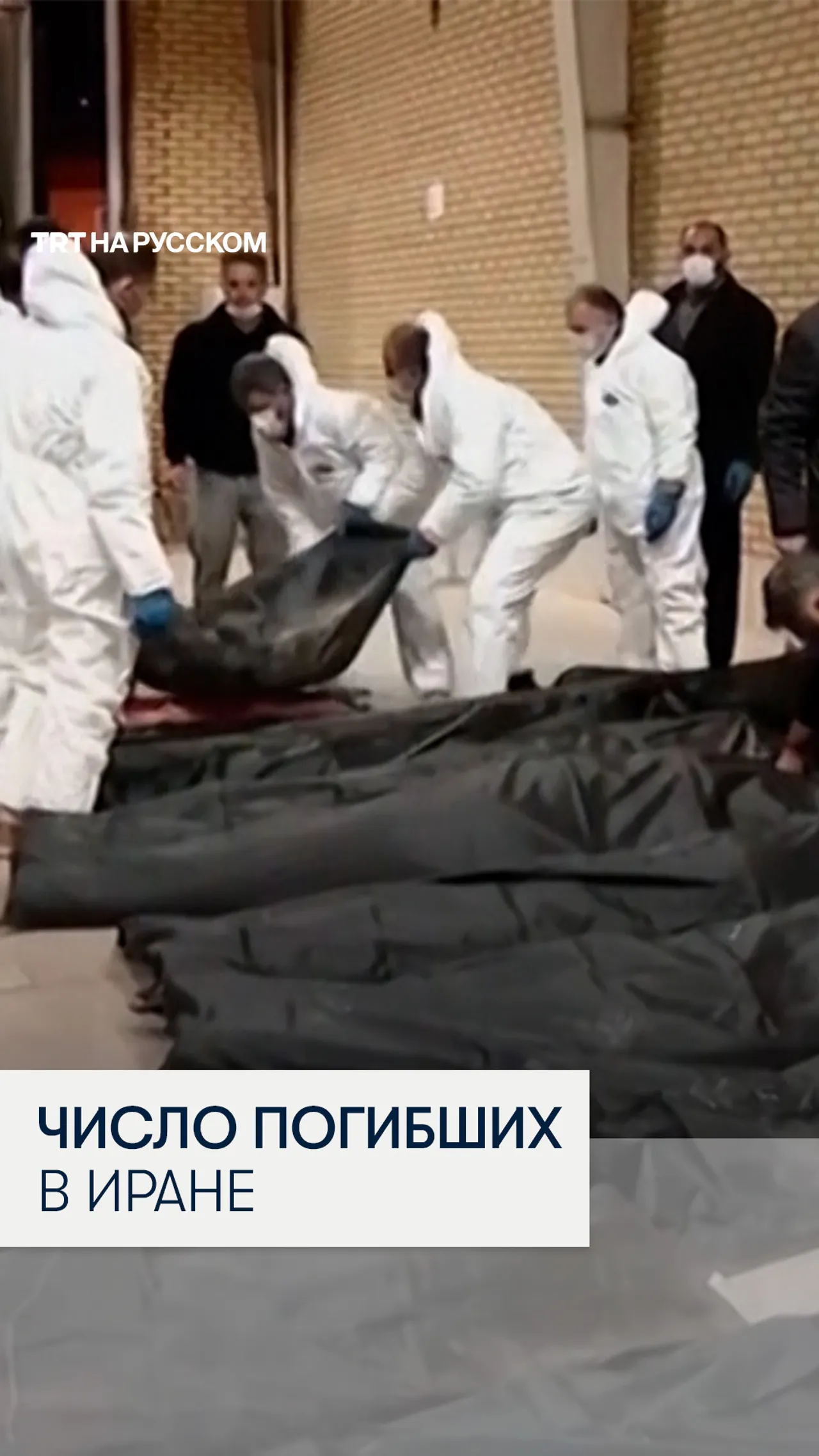 Иран впервые озвучил число погибших в ходе протестов