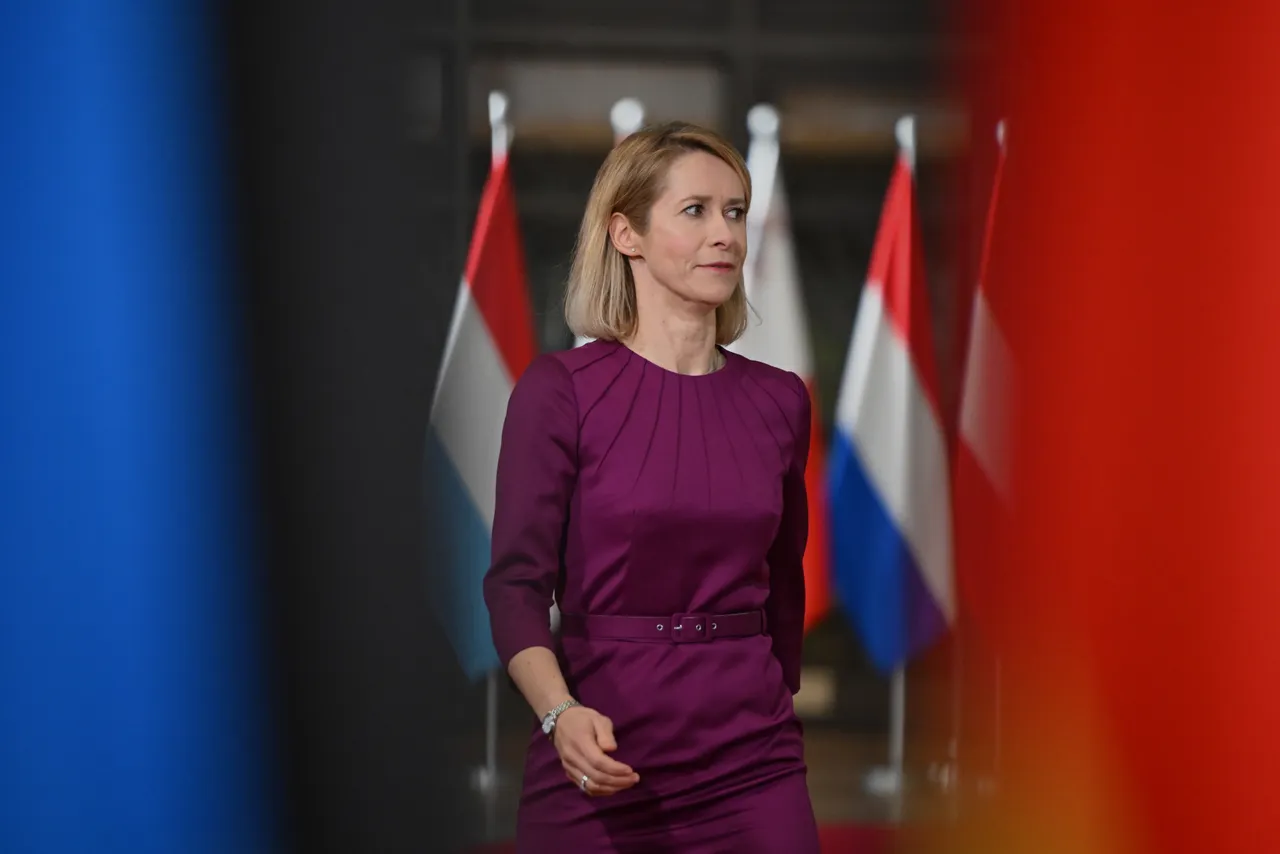 Kryediplomatja e BE-së: OKB-ja "definitivisht nuk po jep rezultatet e duhura"