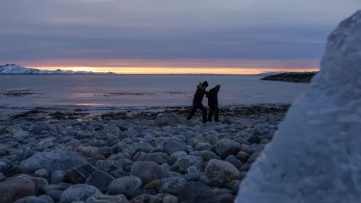 Дания готова отдать США части Гренландии?