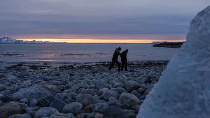 Дания готова отдать США части Гренландии?