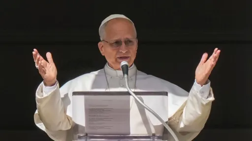 Pope Leo warns against risks of AI algorithms