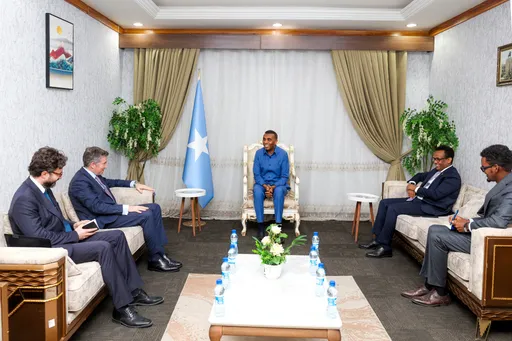 Ra’iisul Wasaare Xamse Cabdi Barre oo qaabilay wafdi ka socda Dowladda Turkiga: Muqdisho