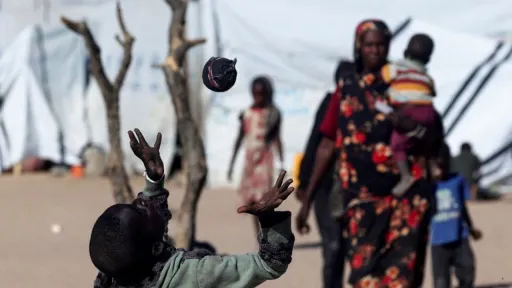 Over 3 million Sudanese displaced by war return home: UN