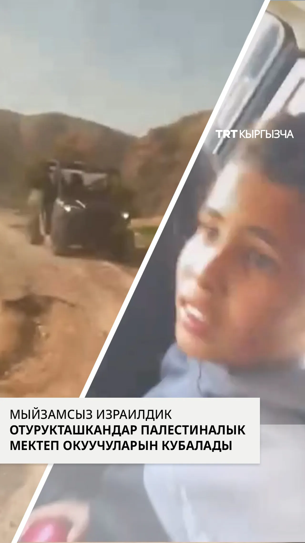 Мыйзамсыз израилдик отурукташкандар Иерихондо палестиналык мектеп окуучуларын кубалады