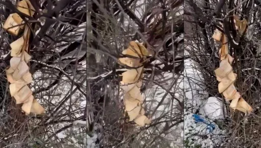 Bashkësia Islame e Kosovës reagon për djegien e Kuranit në Gjakovë