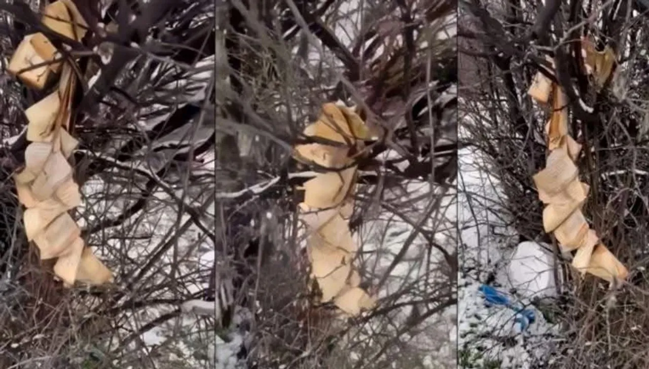 Bashkësia Islame e Kosovës reagon për djegien e Kuranit në Gjakovë