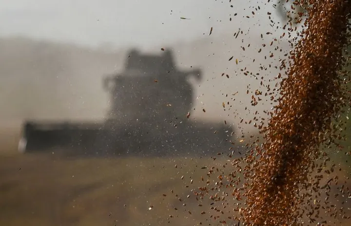 Indonesia hadapi tantangan dalam memenuhi komitmen impor pertanian AS akibat surplus domestik