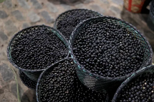 Brazil declares 'superfood' acai a national fruit to fend off 'biopiracy'
