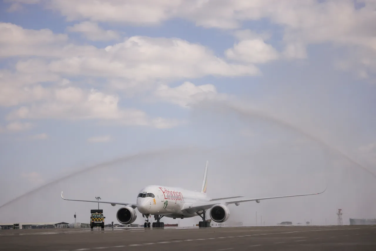 Ethiopia suspends Tigray flights as clashes spark fears of renewed war