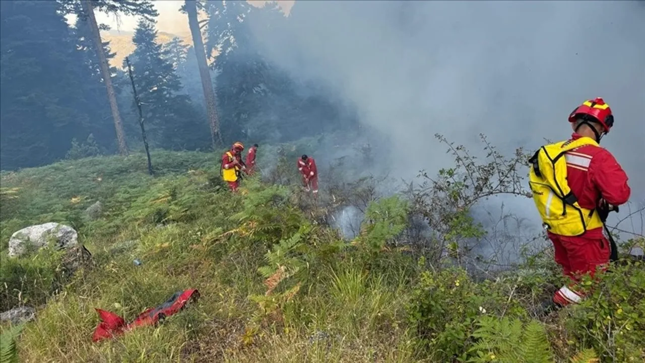 Shqipëria paguan 3.58 milionë euro dëmshpërblim për 15 bashkitë e prekura nga zjarret