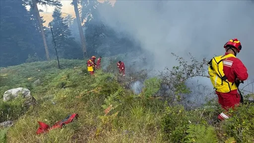 Shqipëria paguan 3.58 milionë euro dëmshpërblim për 15 bashkitë e prekura nga zjarret