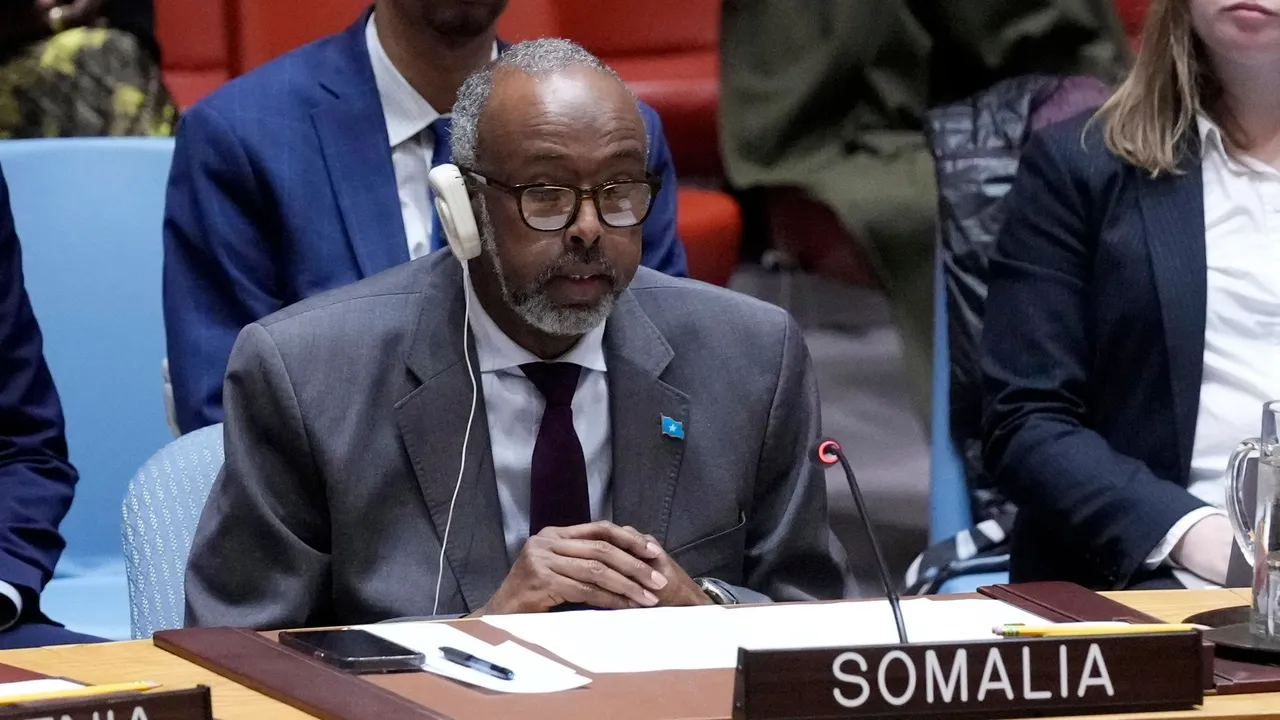 سومالی: تصمیم اسرائیل دربارهٔ سومالی‌لند برای منحرف کردن توجه جهان از فلسطین است