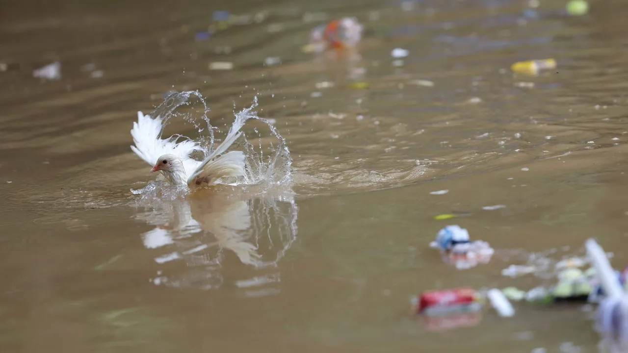Nove mortos e 200 hospitalizados devido a água contaminada na cidade de Indore, na Índia