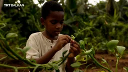 Момчето што му ја откри ванилата на светот