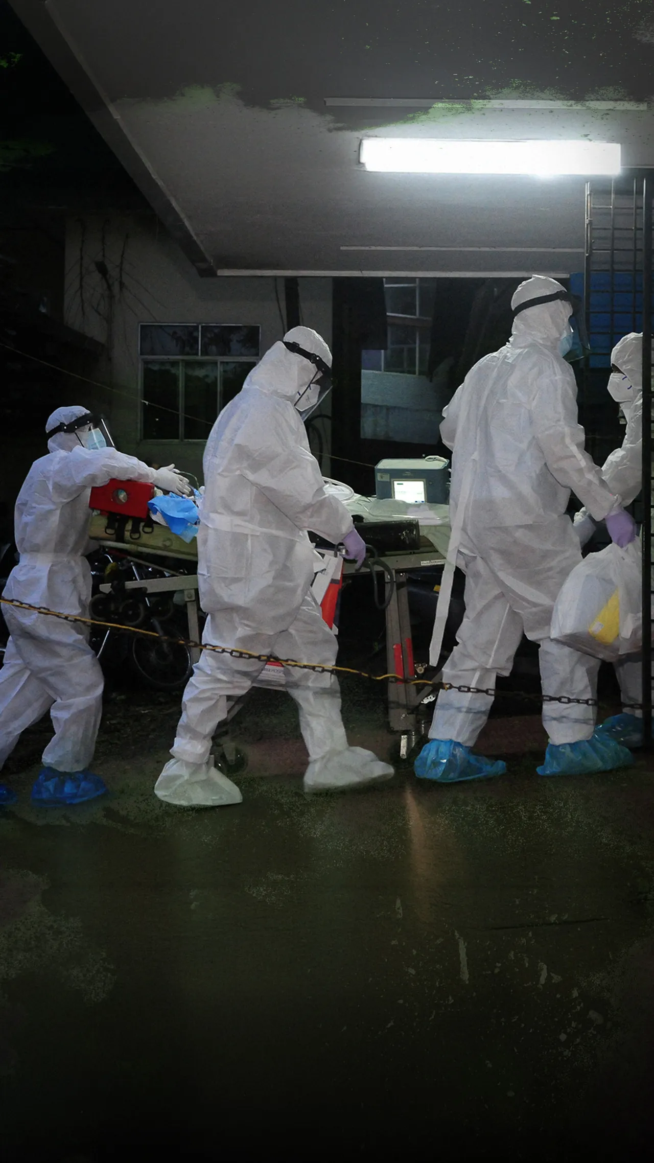 Asia panik menghadapi wabah virus Nipah