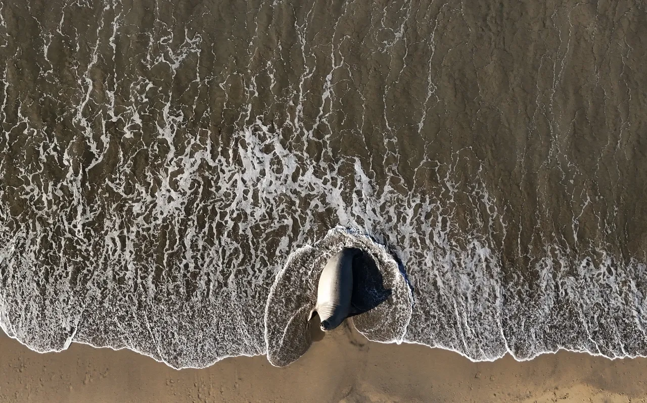 Een Vlaams onderzoek bestudeert de effecten van klimaatverandering in 142 steden wereldwijd