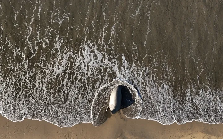 Een Vlaams onderzoek bestudeert de effecten van klimaatverandering in 142 steden wereldwijd