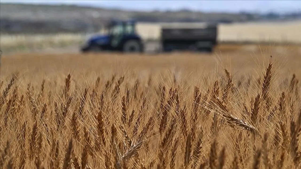 Трипуновски: Зголемен извозот на земјоделски производи за 5,5 проценти споредбено со 2024 година