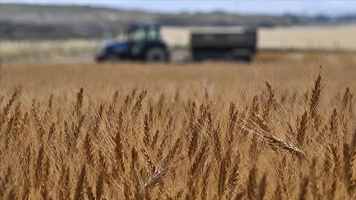 Трипуновски: Зголемен извозот на земјоделски производи за 5,5 проценти споредбено со 2024 година