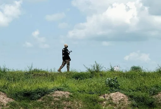 Nederlandse adviesraad zegt dat de overheid de duurzaamheid van de landbouw belemmert