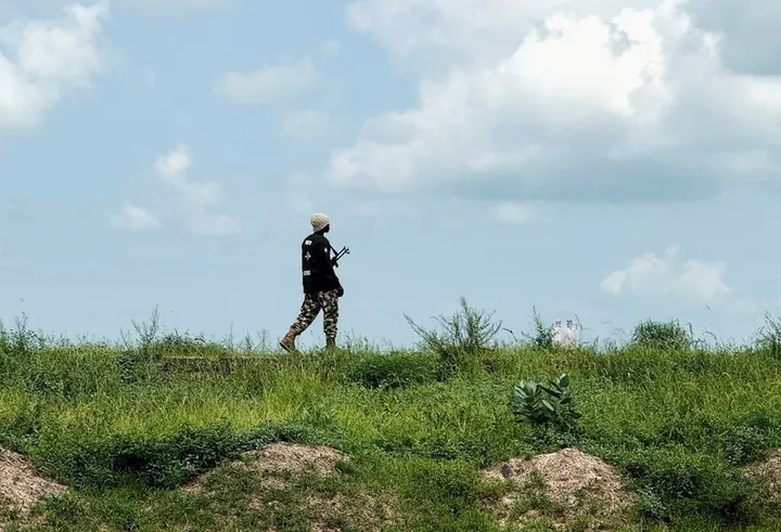 Nederlandse adviesraad zegt dat de overheid de duurzaamheid van de landbouw belemmert