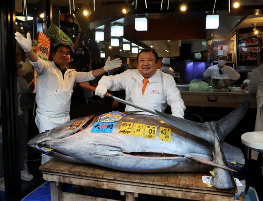 Bluefin tuna weighing over 240 kg sells for record $3.2 million at Tokyo auction