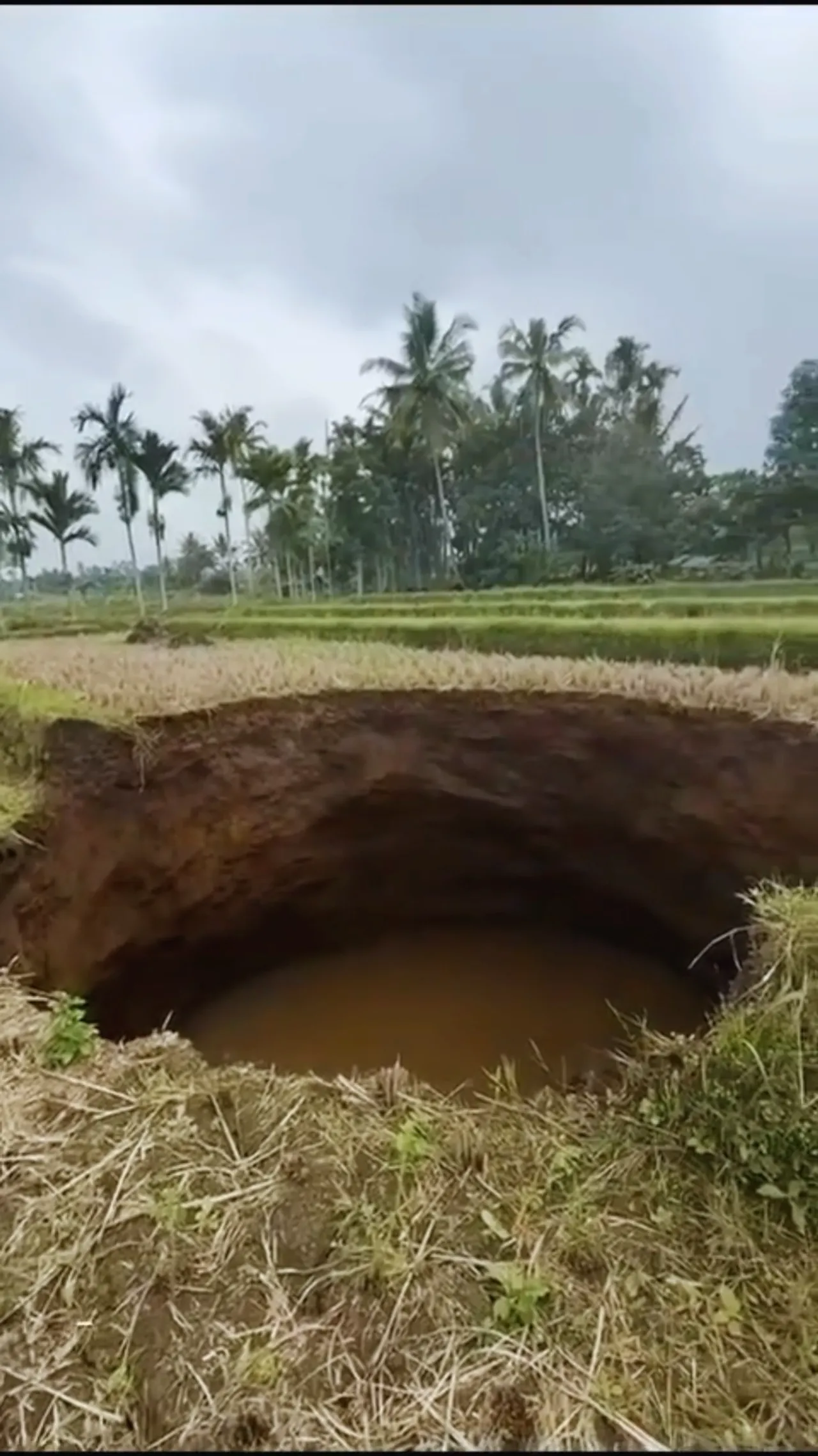 Fenomena 'sinkhole' di tengah sawah gegerkan warga Lima Puluh Kota