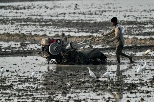 भारतीय किसान संघों ने अमेरिकी व्यापार समझौते के विरोध में देशव्यापी प्रदर्शन का आह्वान किया है।