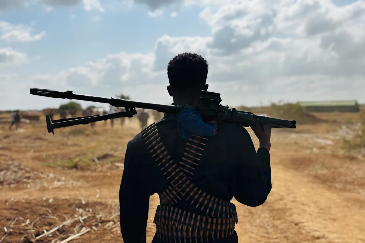 Somalia says 17 al-Shabaab commanders ‘neutralized’ in past 6 months
