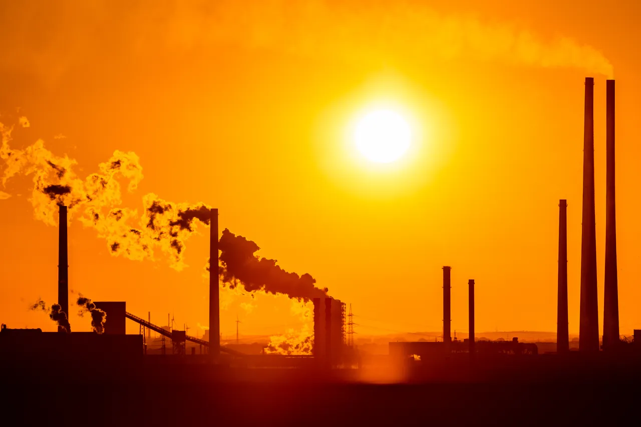 Firmeninsolvenzen 2025 auf höchstem Stand seit 20 Jahren