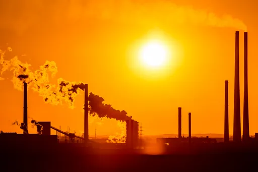 Firmeninsolvenzen 2025 auf höchstem Stand seit 20 Jahren