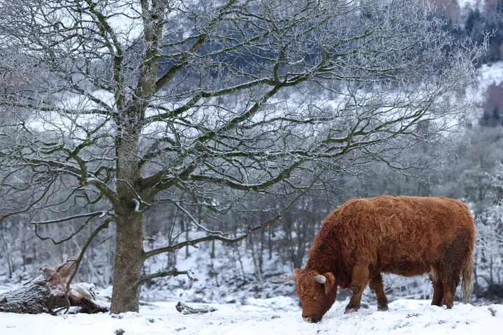 Franśiya häm Britaniyadä buran çıqqan